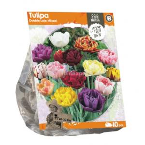 Baltus Tulipa Double Late Mixed tulpen bloembollen per 10 stuks